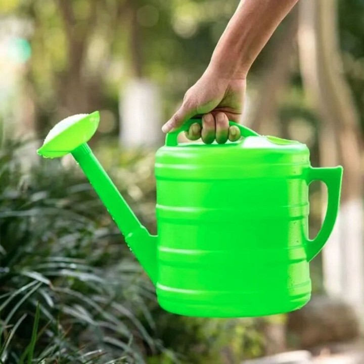Plastic garden watering can 10 L RC-K-1600 green
