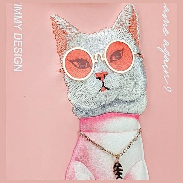 NIMMY чехол GLASSES COOL CAT для IPHONE 15 Pro розовый