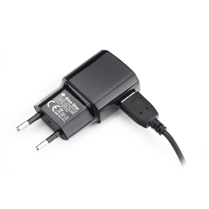 Wall charger for phone Blue Star USB A 2A 10W + cable USB A for Micro USB TFK-TC-1100B black