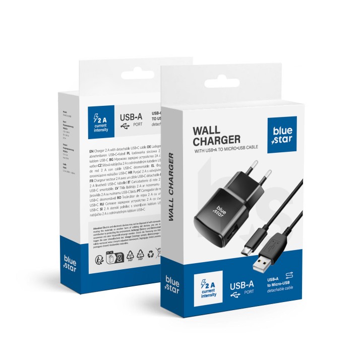 Мережевий зарядний пристрій для телефону Blue Star USB A 2A 10W + кабель USB A для Micro USB TFK-TC-1100B чорний