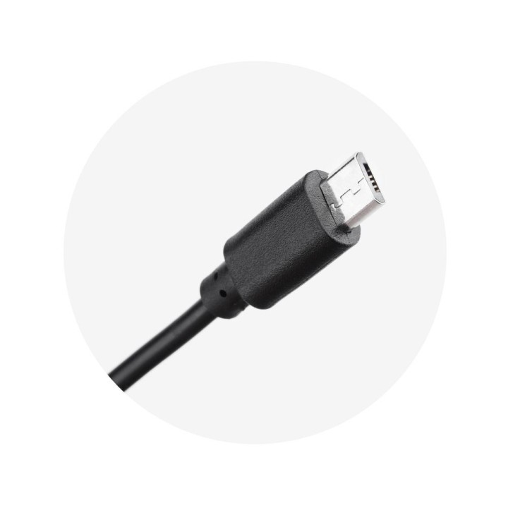 Wall charger for phone Blue Star USB A 2A 10W + cable USB A for Micro USB TFK-TC-1100B black
