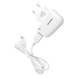 Сетевое зарядное устройство для телефона Blue Star Lite USB A 1A 5W + кабель USB A для Lightning TFK-TC-1095B белое