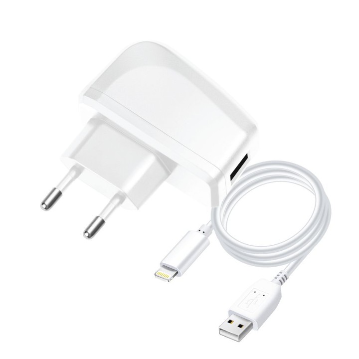 Wall charger for phone Blue Star Lite USB A 1A 5W + cable USB A for Lightning TFK-TC-1095B white