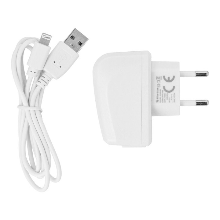 Wall charger for phone Blue Star Lite USB A 1A 5W + cable USB A for Lightning TFK-TC-1095B white