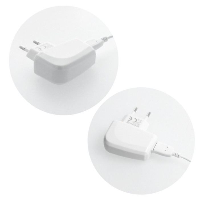 Wall charger for phone Blue Star Lite USB A 1A 5W + cable USB A to Lightning TFK-TC-1095B white