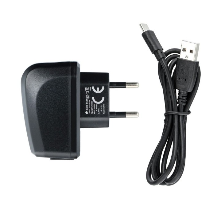 Сетевое зарядное устройство для телефона Blue Star Lite USB A 2A 10W + кабель USB-A – USB-C TFK-TC-1095B черное