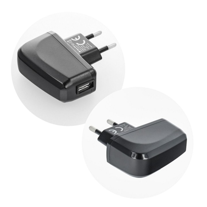 Wall charger for phone Blue Star Lite USB A 2A 10W + USB-A to USB-C cable TFK-TC-1095B black