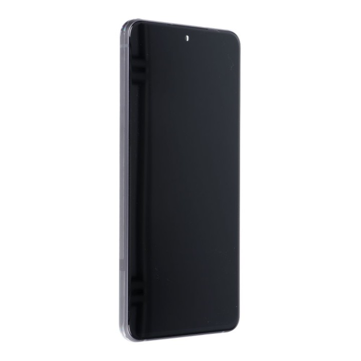 Display for Samsung Galaxy S21 FE