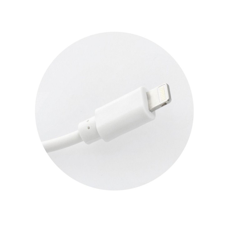 Wall charger for phone Blue Star USB A 1A 5W + cable USB A for Lightning TFK-TC-1100B white