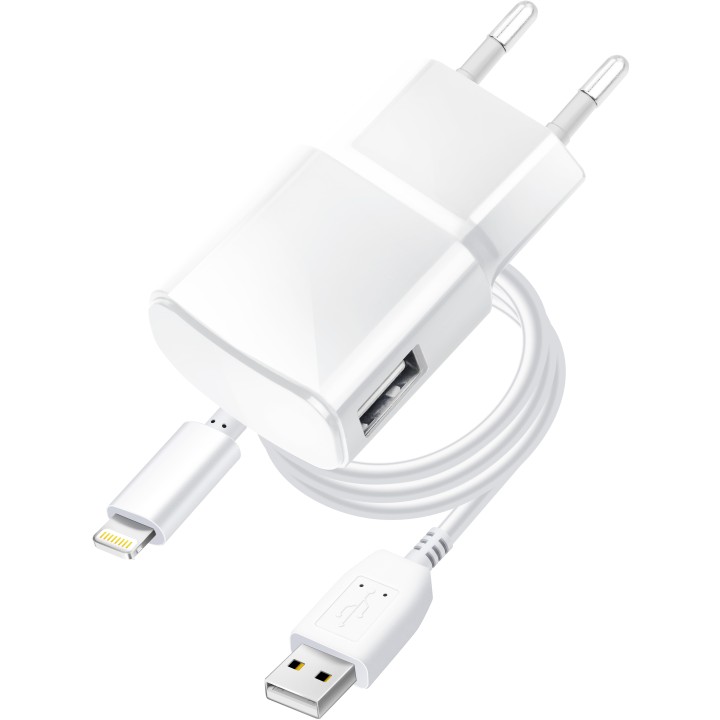 Сетевое зарядное устройство для телефона Blue Star USB A 1A 5W + кабель USB A для Lightning TFK-TC-1100B белое