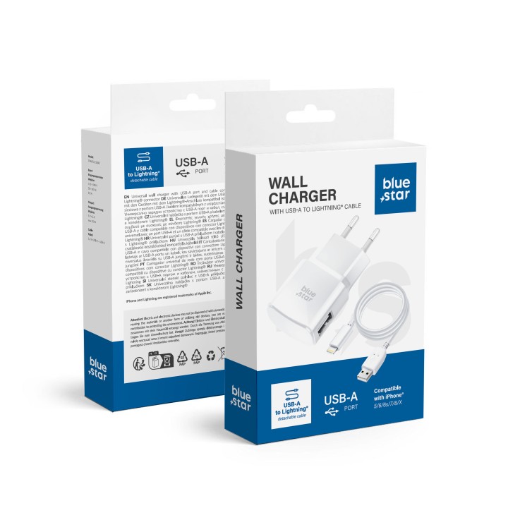 Сетевое зарядное устройство для телефона Blue Star USB A 1A 5W + кабель USB A — Lightning TFK-TC-1100B белое
