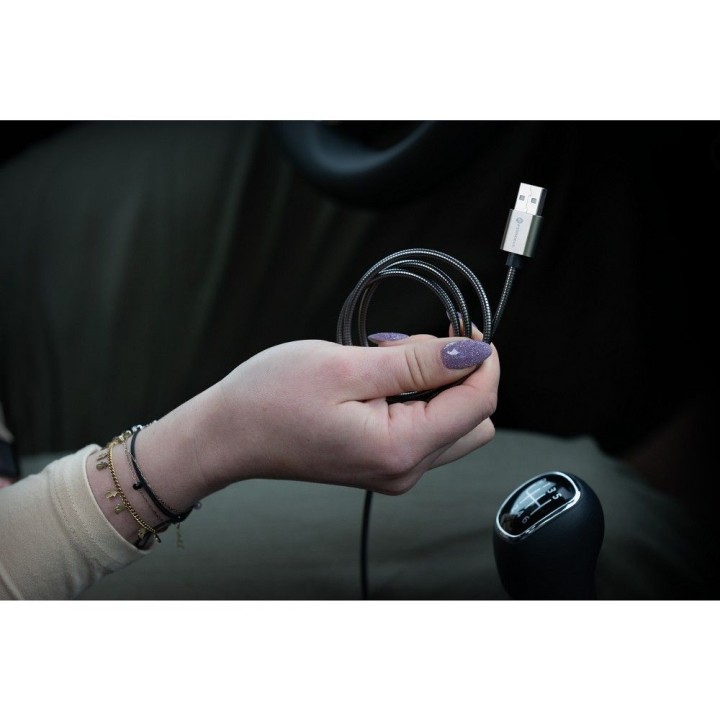 Cable USB A to Lightning Forcell F-Energy 2,4A 12W Metal 1 m C236 silver