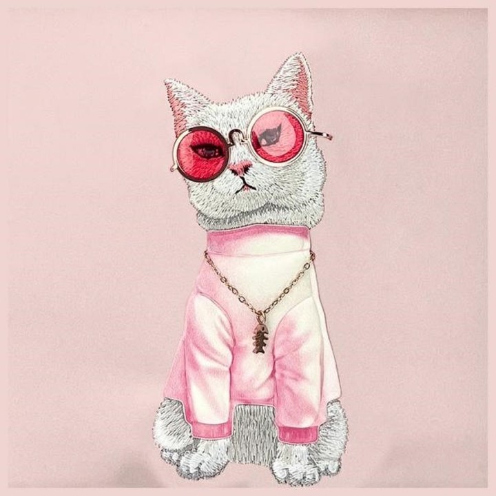 Bag nerka shoulder Nimmy Glasses Cool Cat pink