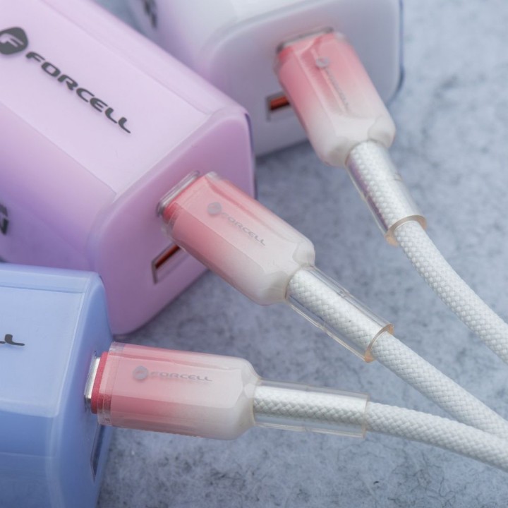 USB-C to USB-C cable Forcell F-Energy QC4.0 PD 3A 60W Gradient 1 m C354 white 0INT