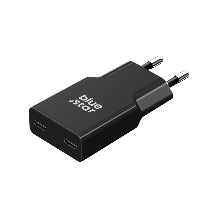 Сетевое зарядное устройство для телефона Blue Star Slim GaN 2 x USB C QC4.0 PD 3A 30W TFK-SC-30WCC черное