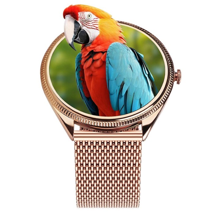 Smartwatch TITMO O-170 (AMOLED, Bluetooth call, strap steel szlachetna gold mesh) gold 0INT