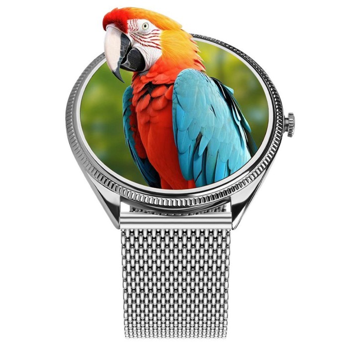 Смарт-часы TITMO O-170 (AMOLED, Bluetooth call, ремешок сталь szlachetna silver mesh) серебристые 0INT